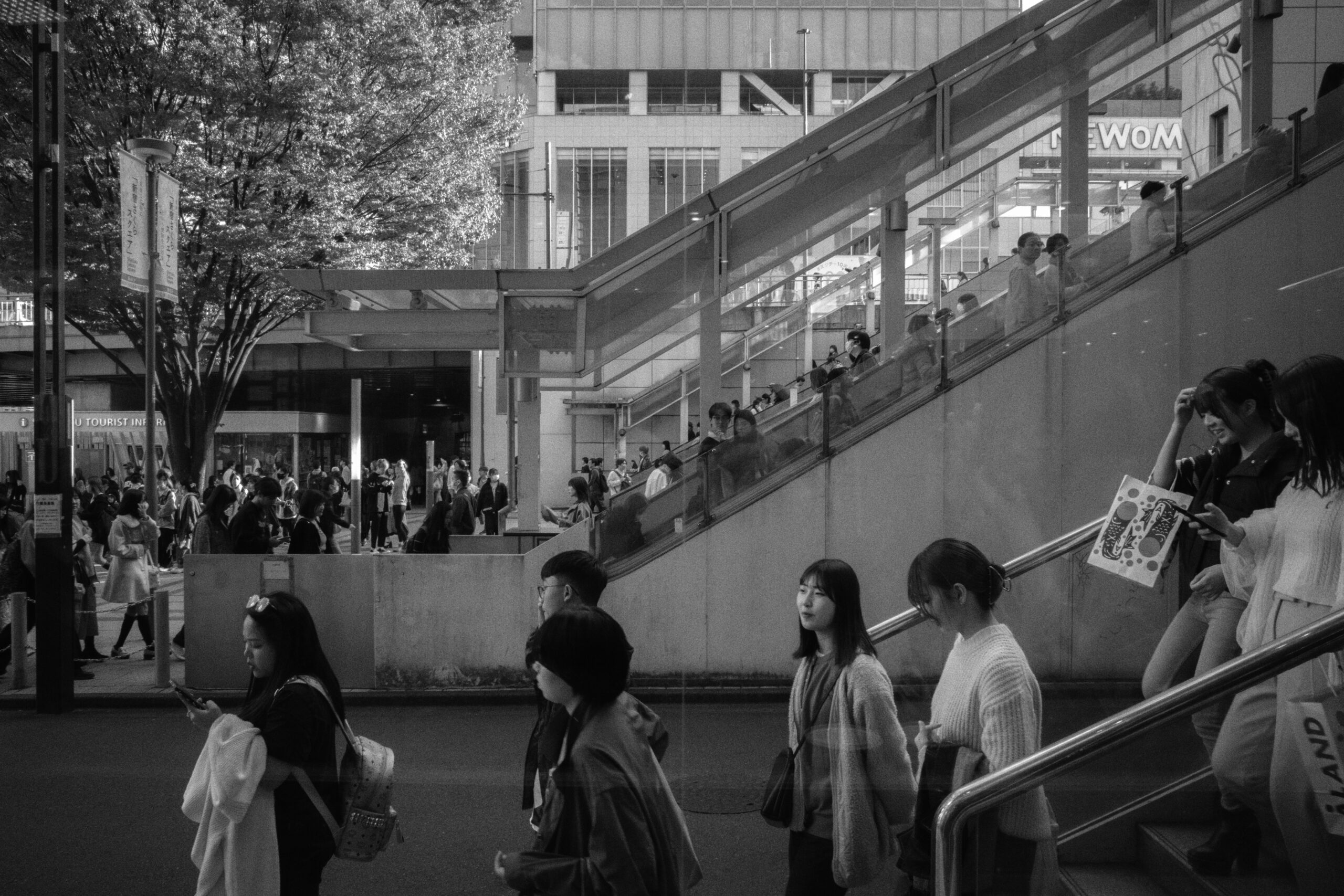 Thomas Beswick Photo diary 0007