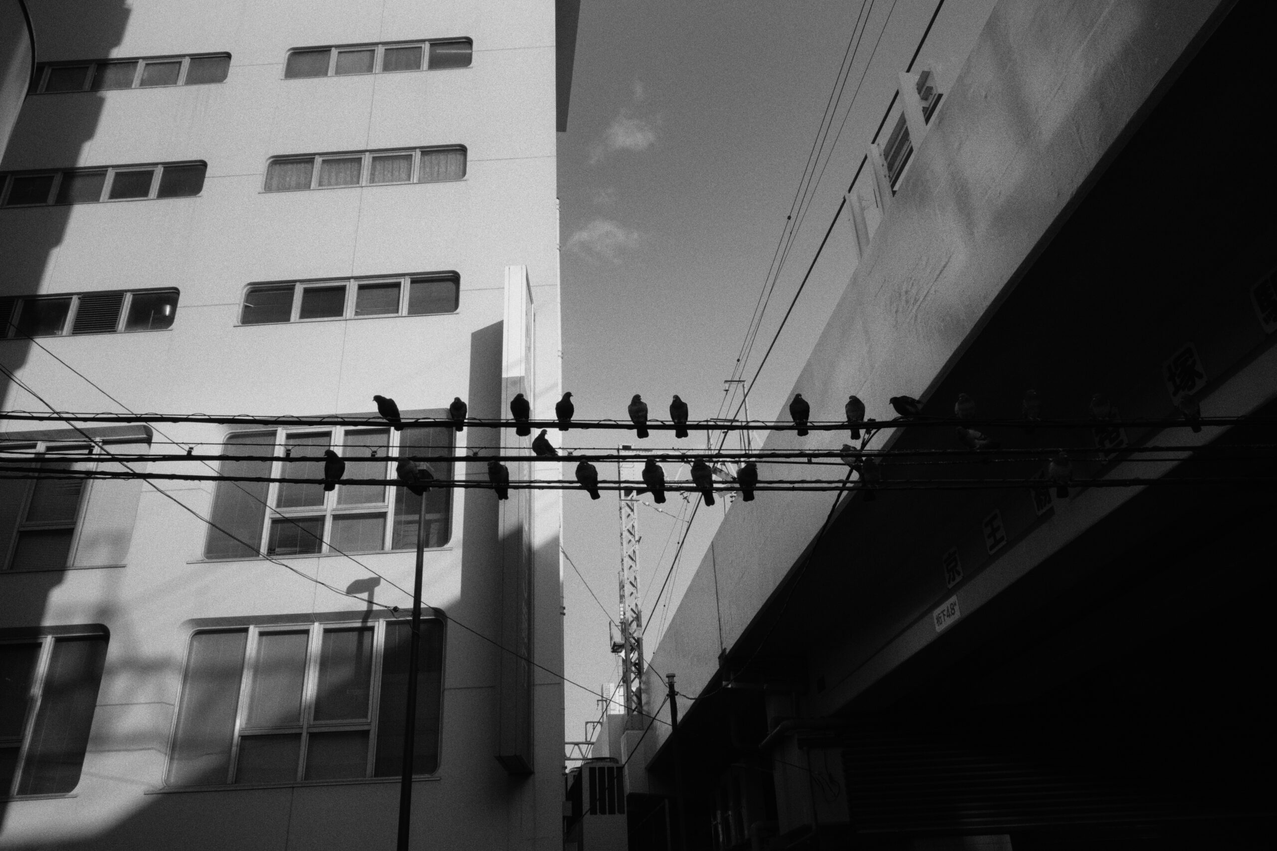 Thomas Beswick Photo diary 0023