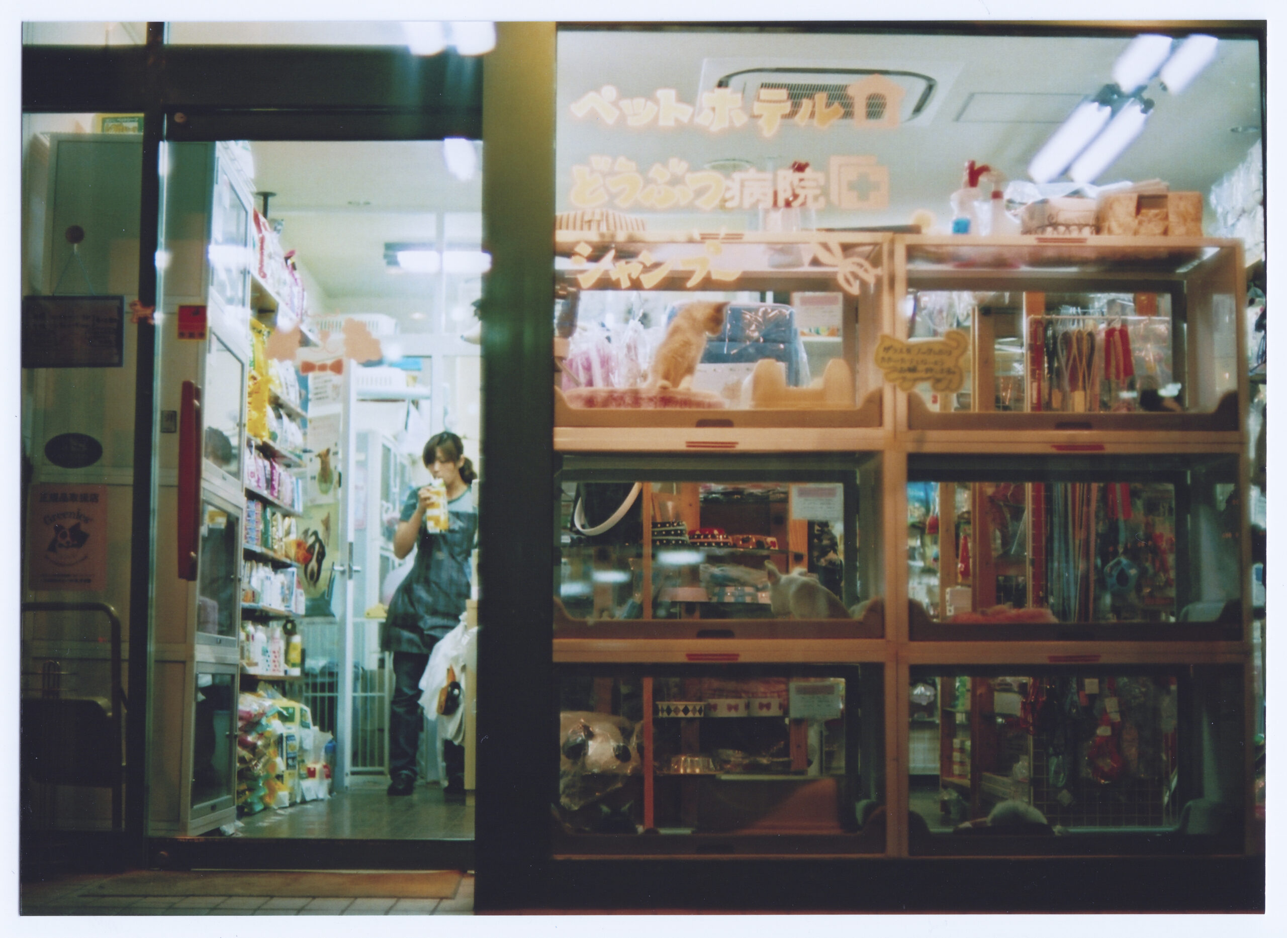 35mm color photography by Thomas Beswick, Filmmaker based in Tokyo. Tokyo 2008 Series 'late shift'