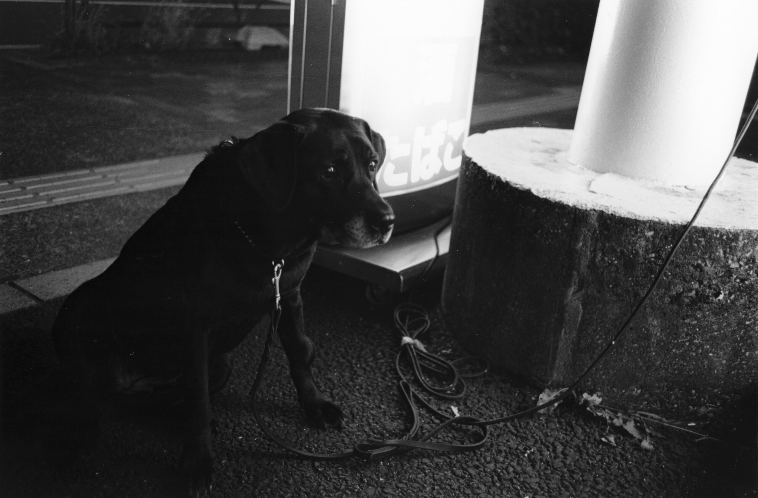 B&W photography by Thomas Beswick, Filmmaker based in Tokyo. Tokyo Diary Series 'conbini dog'